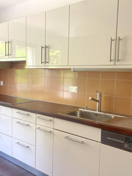 Photo 3 de l'annonce Fins_5C