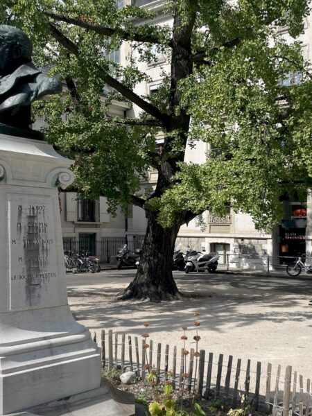 Photo 1 de l'annonce 450020-2112