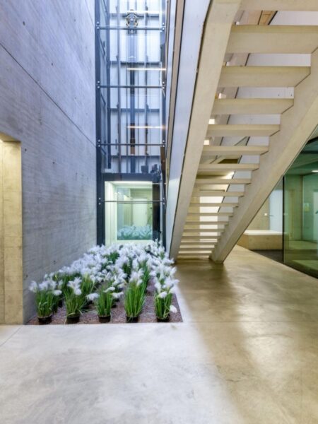 Photo 3 de l'annonce 1292.420010