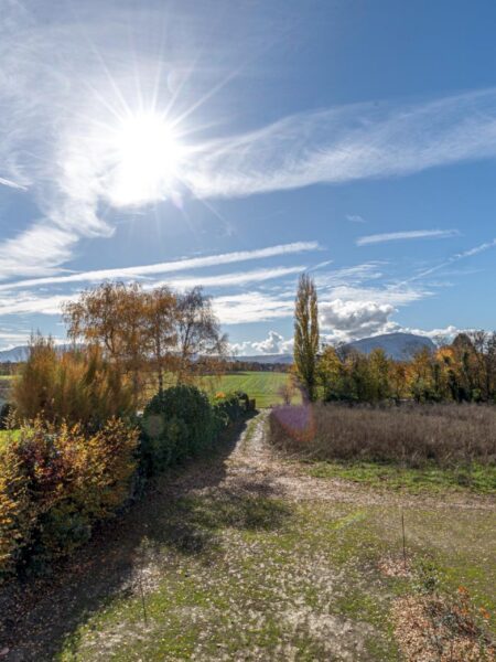 Photo 5 de l'annonce Lullier_64