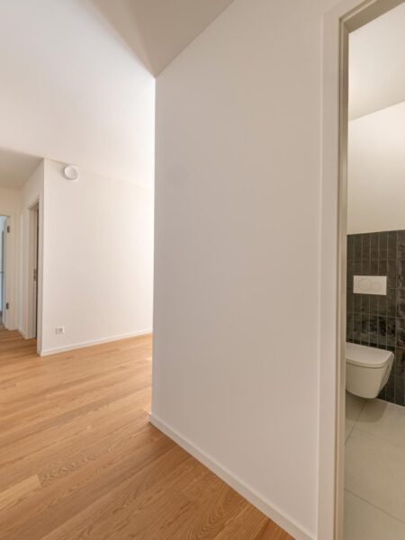 Photo 9 de l'annonce Lullier_64